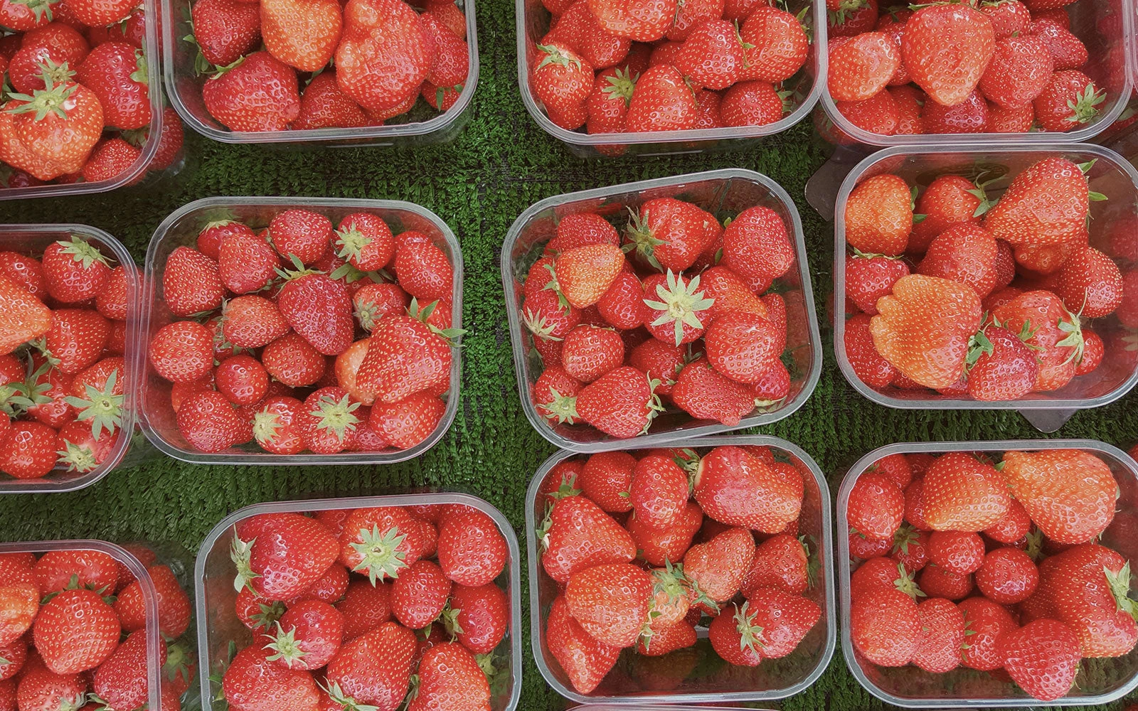 Easy summer treat: Healthy Strawberry Popsicles